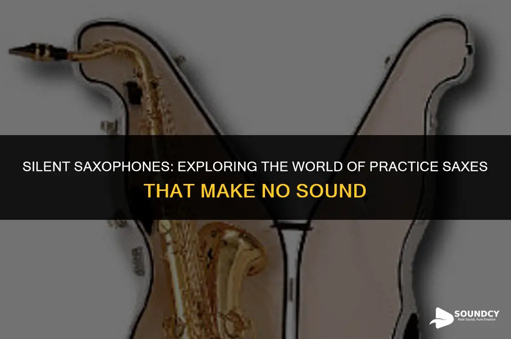 is there a pracice sax that makes no sound