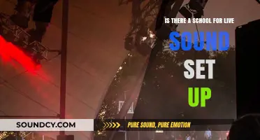 Exploring Educational Paths for Live Sound Setup Professionals