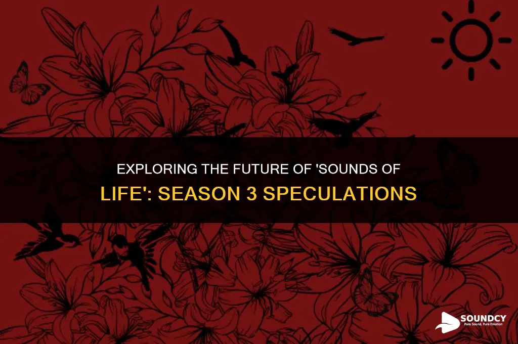 is there a season 3 of sounds of life