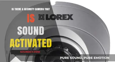 Sound-Activated Security Cameras: Do They Exist and How Do They Work?