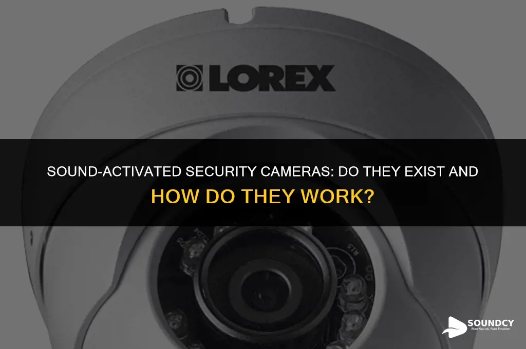 is there a security camera that is sound activated