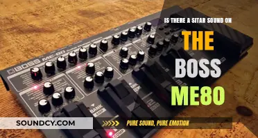 Exploring the BOSS ME-80: Does It Emulate Sitar Sounds?