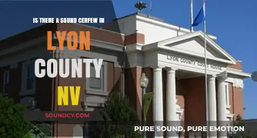 Exploring Lyon County, NV: The Truth About Sound Curfews