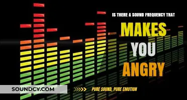 Sonic Irritants: Exploring the Frequency that Fuels Frustration