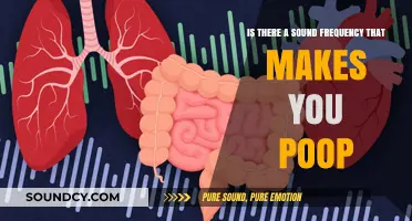 Exploring the Myth: Can Certain Sound Frequencies Induce Bowel Movements?