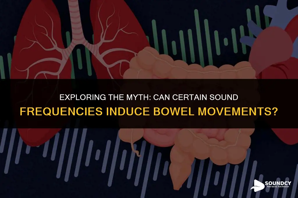 is there a sound frequency that makes you poop