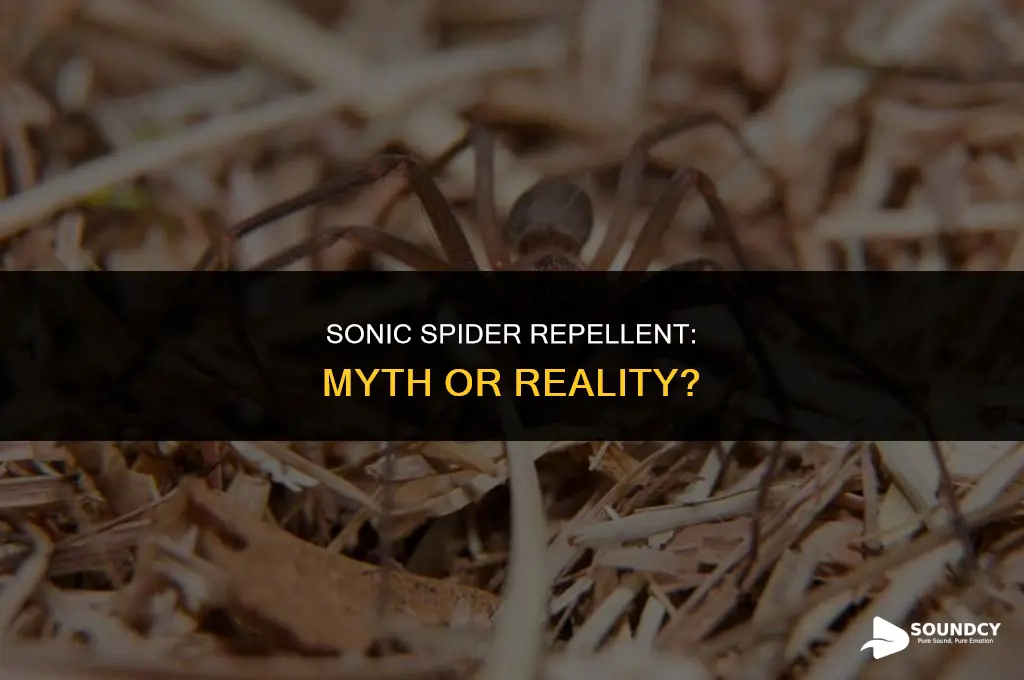 is there a sound frequency that scares spiders away