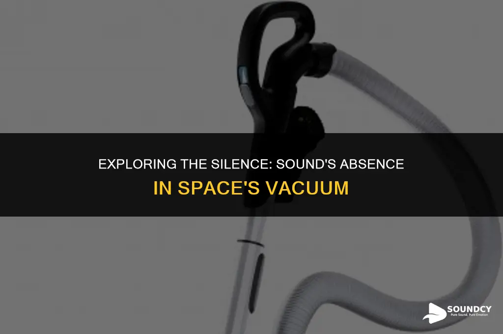 is there a sound in the vacuum of space
