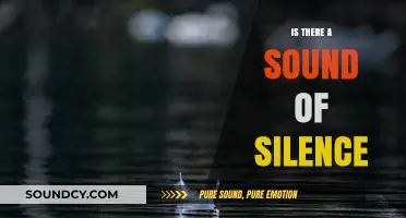 The Sound of Silence: Does it Exist?
