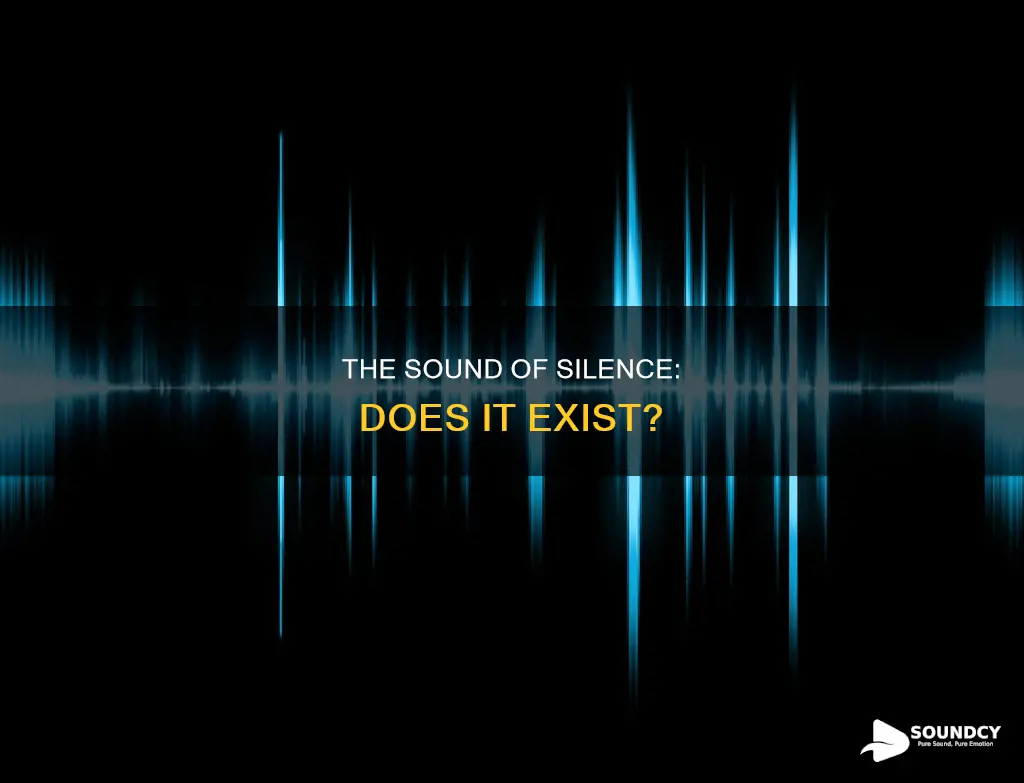 is there a sound of silence