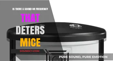 Exploring Ultrasonic Frequencies: Can Sound Really Deter Mice?