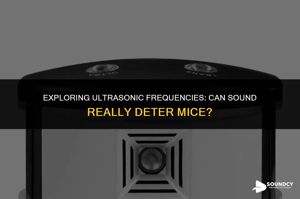 is there a sound or frequency that deters mice