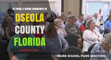 Exploring Noise Regulations in Osceola County, Florida