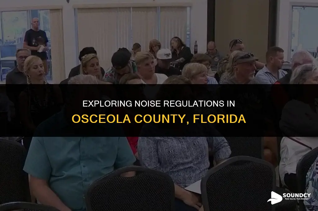 is there a sound ordinance in oseola county florida
