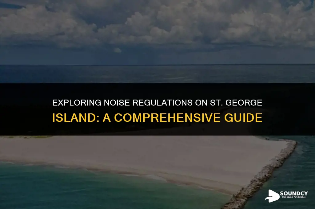 is there a sound ordinance on st george island