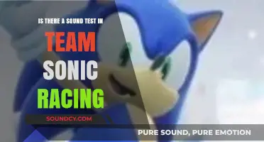 Revving Up the Volume: Exploring Sound Tests in Team Sonic Racing