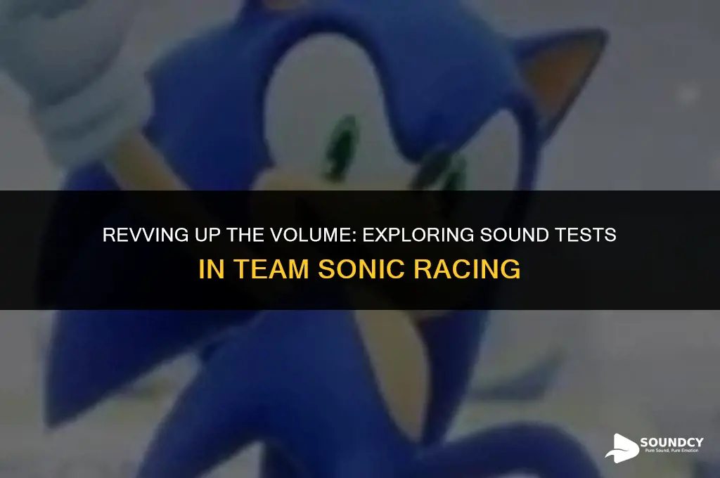 is there a sound test in team sonic racing