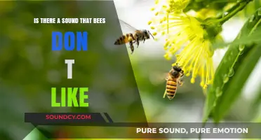 Buzzing Dislikes: Exploring Sounds That Irritate Bees