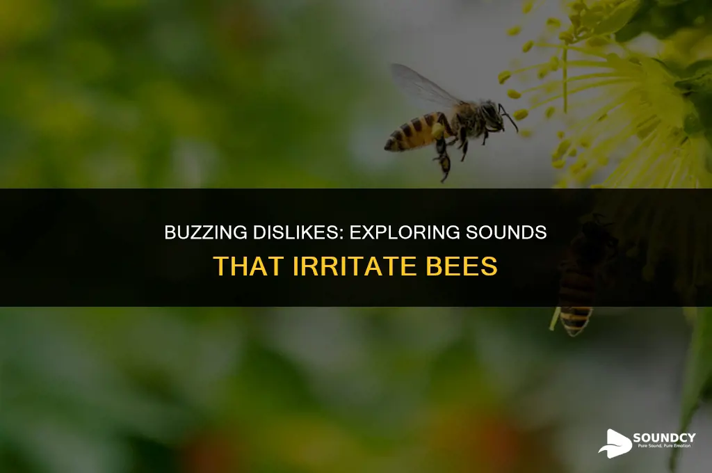 is there a sound that bees don t like