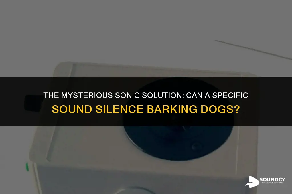 is there a sound that makes dogs stop barking