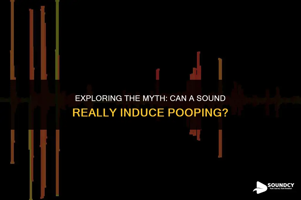 is there a sound that makes the human poop