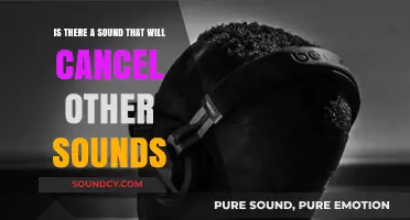 Sonic Serenity: Exploring the Myth of Sound-Canceling Noises