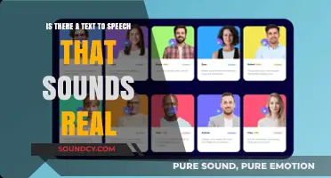Exploring the Pinnacle of Text-to-Speech Realism: A Comprehensive Guide