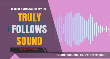 Exploring the Quest for the Perfect Sound Visualization App