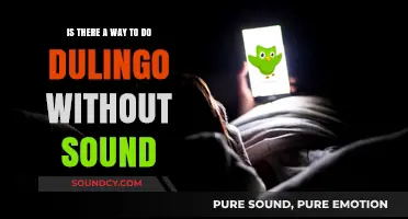 Exploring Duolingo: Can You Learn Without Sound?