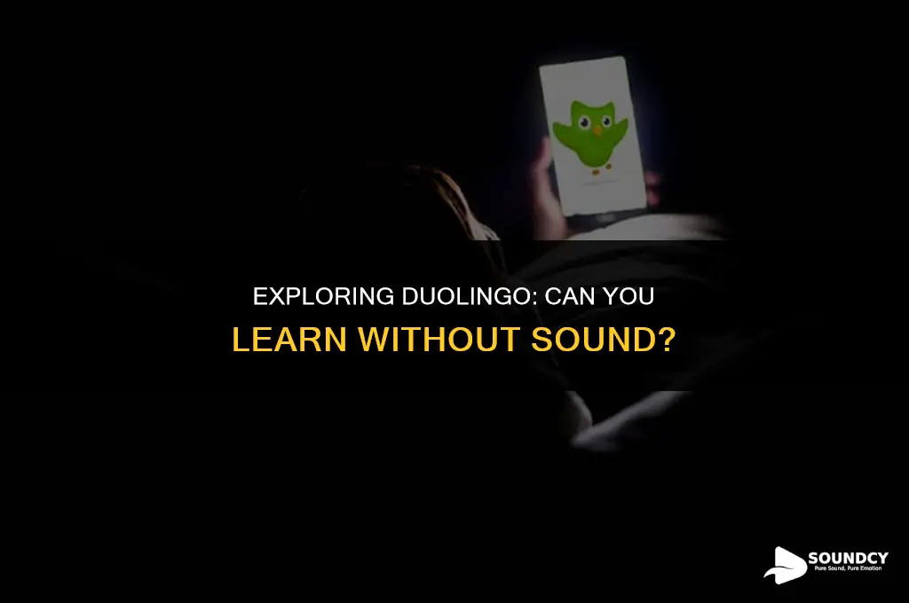 is there a way to do dulingo without sound