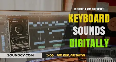 Exploring Digital Exports: Can Keyboard Sounds Be Captured?