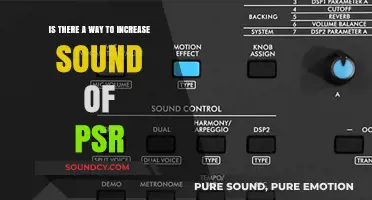 Boosting Your PSR: Techniques to Enhance Sound Quality and Volume