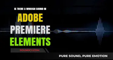 Exploring Audio Effects: Does Adobe Premiere Elements Include a Whoosh Sound?