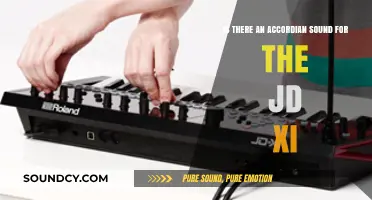 Exploring Accordion Sounds on the JD-Xi Synthesizer