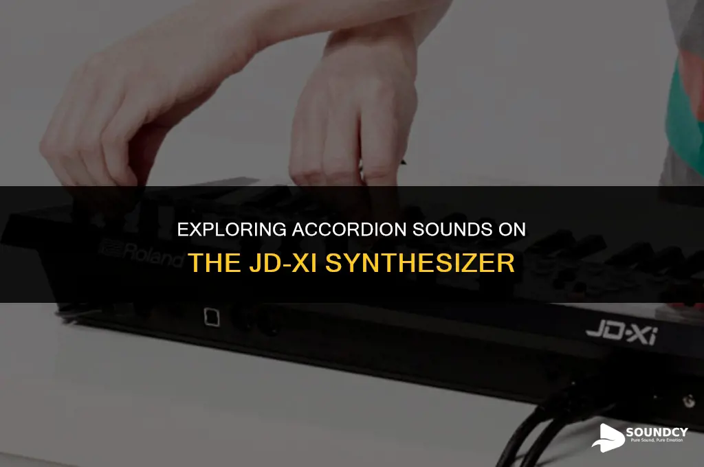 is there an accordian sound for the jd xi