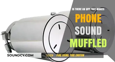 Exploring Apps That Can Mute Your Phone's Sound