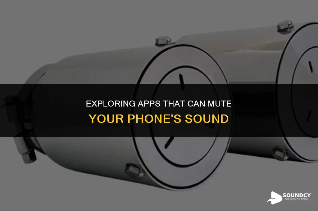 is there an app that makes phone sound muffled