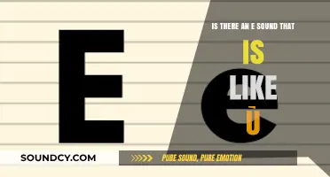 Exploring Phonetics: The Unique 'E' Sound That Resembles 'Ù
