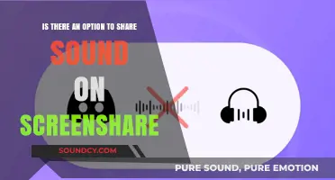 Exploring Screen Share Options: Can You Share Sound Too?