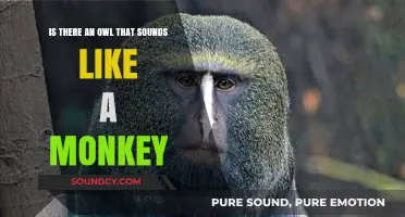 Exploring Nature's Mimicry: The Owl That Sounds Like a Monkey