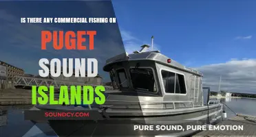 Exploring Commercial Fishing Practices on Puget Sound Islands