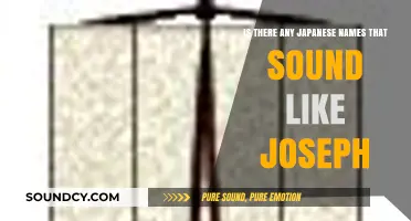 Exploring Japanese Names: A Quest for the Perfect "Joseph" Equivalent