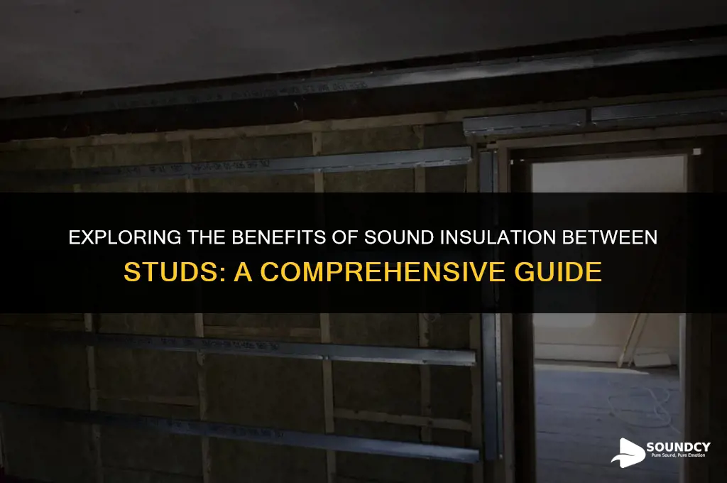 is there any point in sound insulation between studs