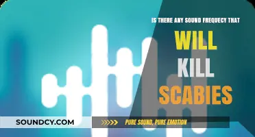 Debunking Myths: Can Sound Frequencies Eliminate Scabies?