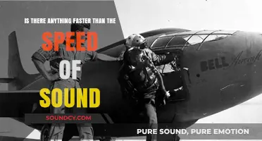 Breaking the Sonic Barrier: Exploring the Frontiers of Speed