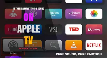 Mastering Audio Equality on Apple TV: A Comprehensive Guide