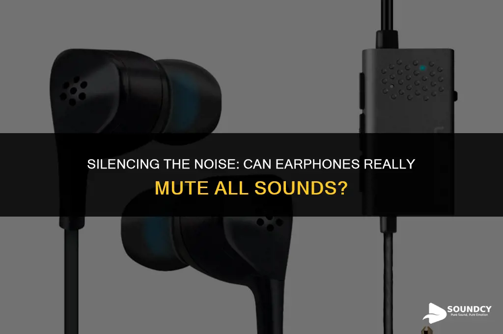 is there anyway to mute sound with earphones in