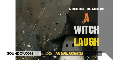 Exploring Paranormal Sounds: The Mystery of Witch-like Laughs