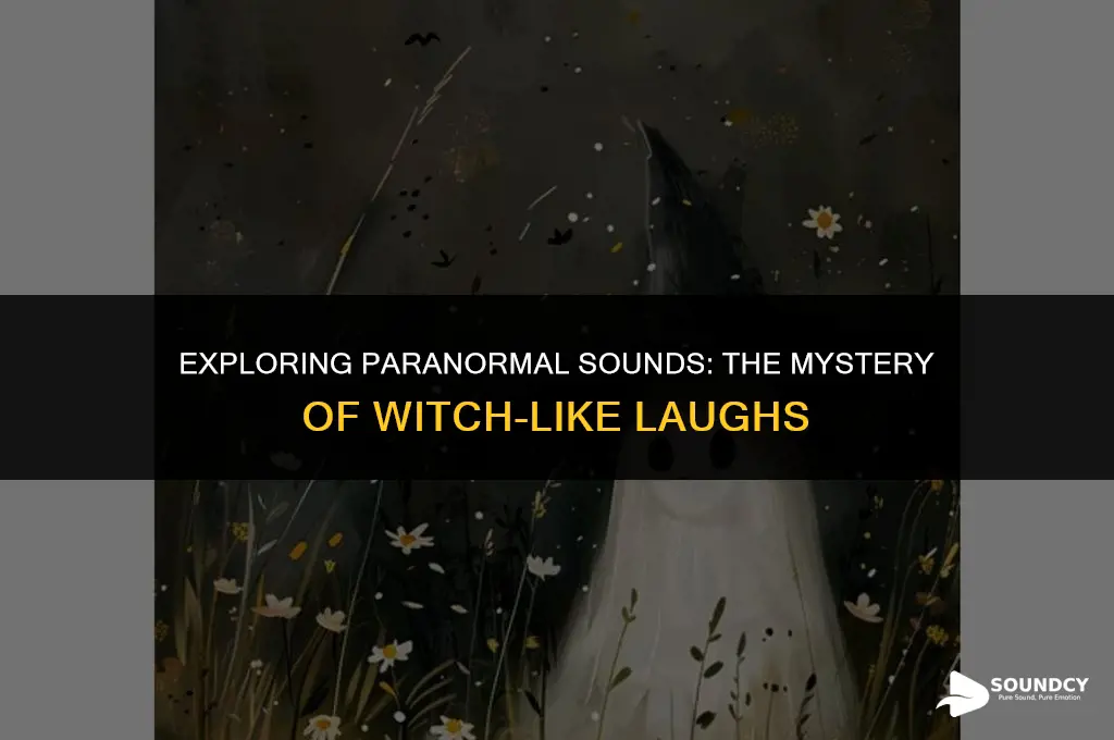 is there ghost that sound like a witch laugh
