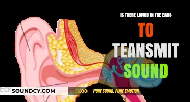 Exploring the Mystery: How Liquid in the Ears Transmits Sound